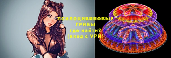 дживик Киренск