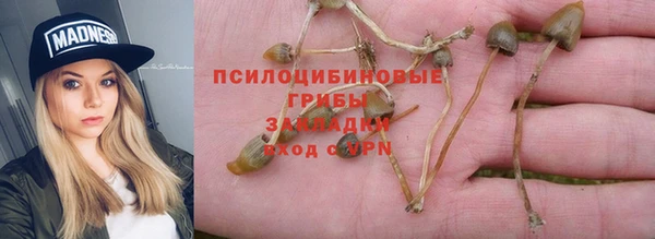 apvp Киреевск