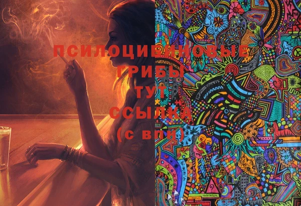дживик Киренск