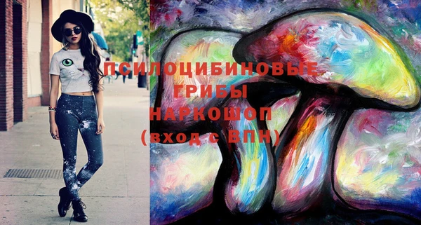дживик Киренск