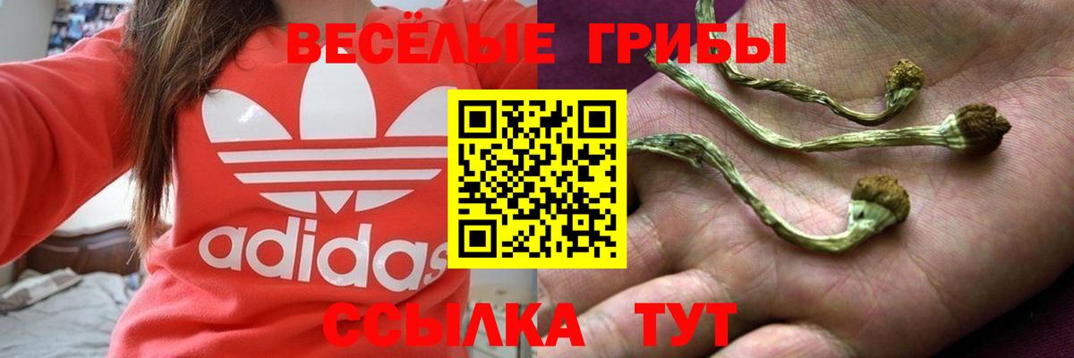 Миллерово  Псилоцибиновые грибы мицелий  Вход с VPN 